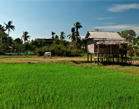 House on stilts near Siem Reap