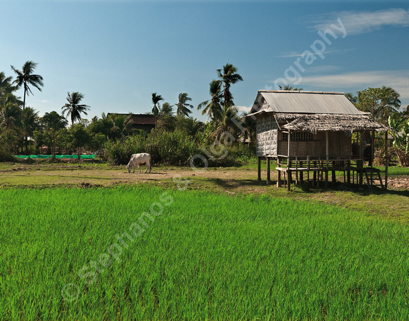 House on stilts near Siem Reap