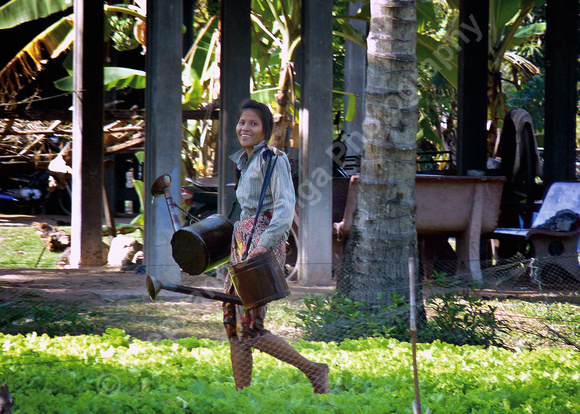 Young woman doing field (farm?) work at village near Siem Reap